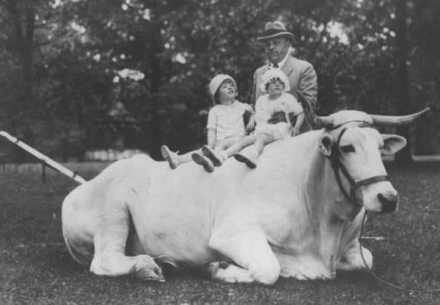 August A. Busch Sr. at Grant's Farm in 1929